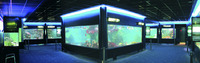 acuario
